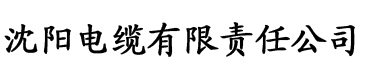 蕾丝视频深夜释放自己污电缆厂logo